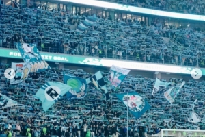 斯坦丘盛赞主场氛围：我以为我已经见到过一切，直到大连